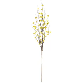 Forsythia Spray