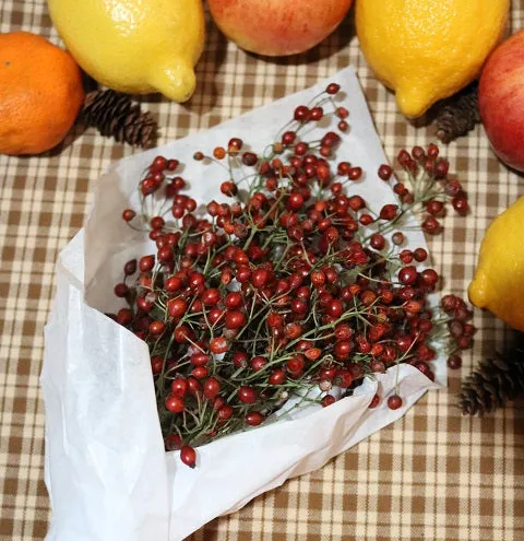 Fresh Rosehip Bunch Perfect for the Holidays