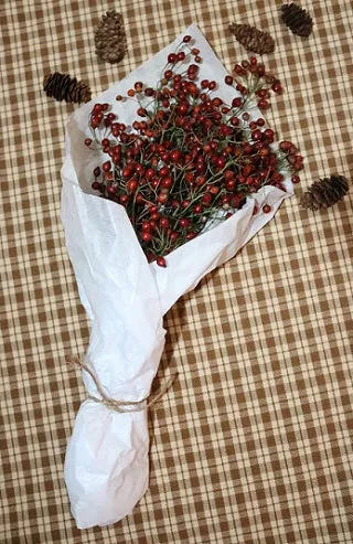 Fresh Rosehip Bunch Perfect for the Holidays