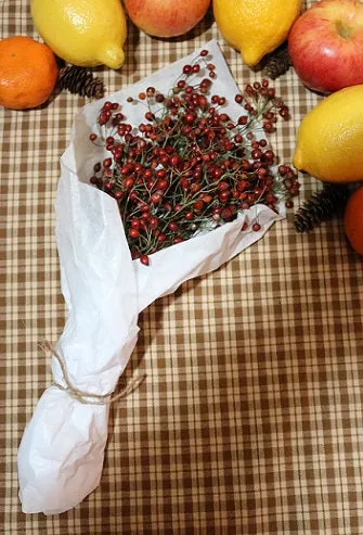 Fresh Rosehip Bunch Perfect for the Holidays