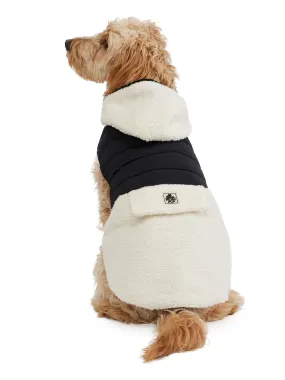 Loki Easy Fit Jacket w/Hood for Dogs