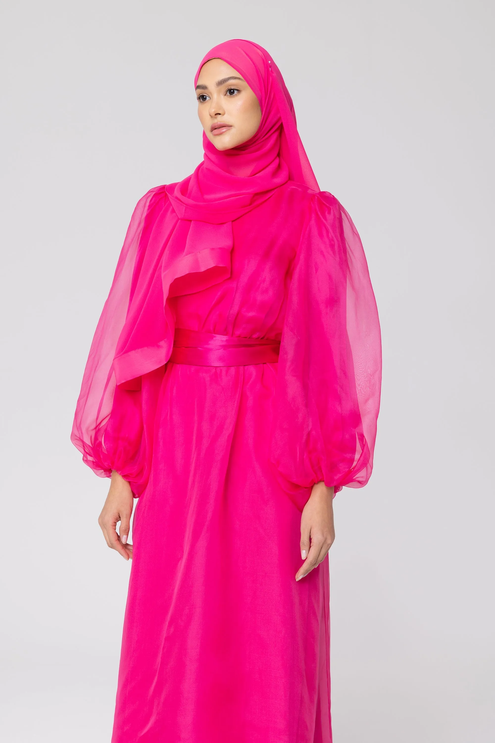 Silk Organza Balloon Sleeve A-Line Maxi Dress - Pink